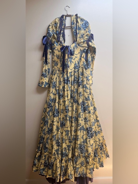 Selkie Dresses & Skirts - Selkie Lumiere full sleeve Baroness Gown BNWOT XXL